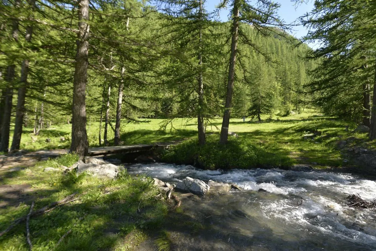 Studio Val Gardena 1 Puy-Saint-Vincent Apartment